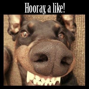 Thanks for the like!